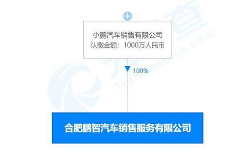 地方國(guó)資入局小鵬汽車(chē)，5億元戰(zhàn)略投資為智能化與本地化注入新動(dòng)力