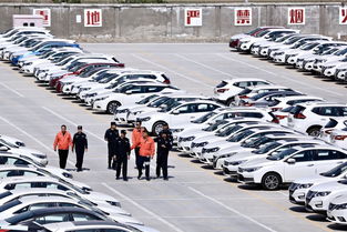 筑牢安全防火墻 消防安全檢查走進(jìn)新疆最大商品汽車(chē)專(zhuān)業(yè)貨場(chǎng)